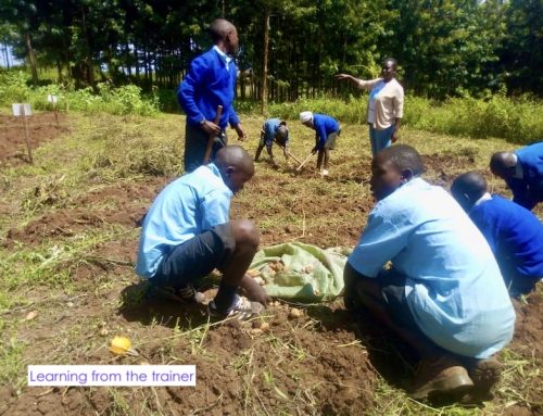 Soil health increases crop yields